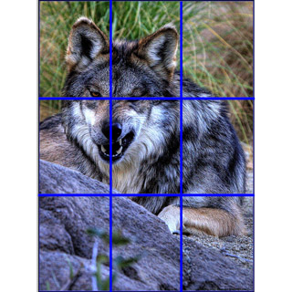 rule of thirds icon